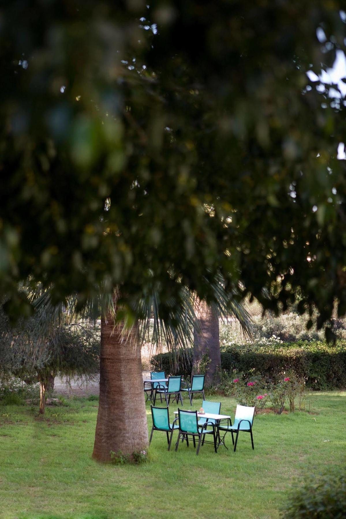 Villa Life Agia Marina Extérieur photo